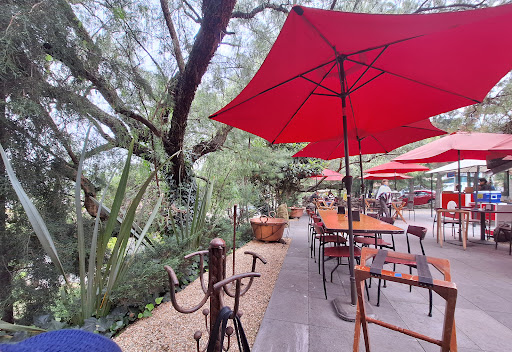 Photo from customer review